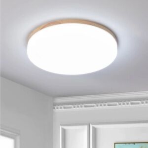 Parinaaz Acrylic LED Flush Mount Light Fixture